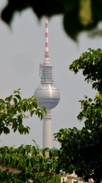 P1030342