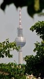P1030342