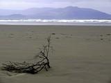 P1000166.jpg