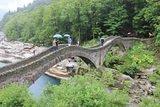 IMG_1519.jpg